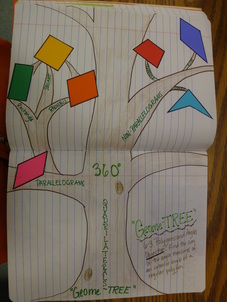 Quadrilateral GeomeTREE Interactive Notebook Page